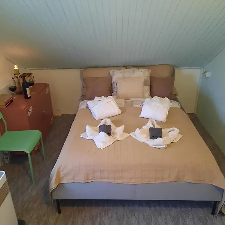 Apartment Karos Vintage House