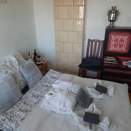 Apartman Karos Vintage House