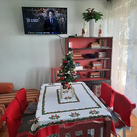 Apartman Karos Vintage House *